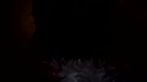 Snapshot of dingler523482 chatting on December 17, 6:41 am dingler523482 online show from December 17, 6:41 am