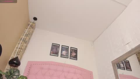 DIOSA online show from February 18, 3:10 am