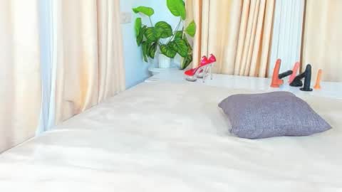 chocolate online show from September 17, 8:54 pm