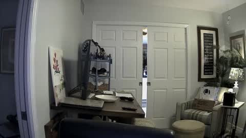 Snapshot of dirkpitt223 chatting on January 2, 3:05 am DirtkPitt Fun guy working online show from January 2, 3:05 am