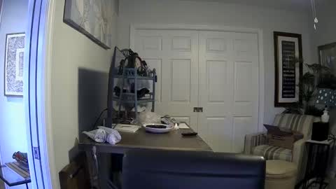 Snapshot of dirkpitt223 chatting on January 4, 6:40 pm DirtkPitt Fun guy working online show from January 4, 6:40 pm