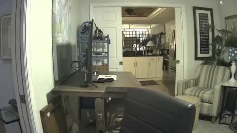 Snapshot of dirkpitt223 chatting on February 9, 6:01 am DirtkPitt Fun guy working online show from February 9, 6:01 am