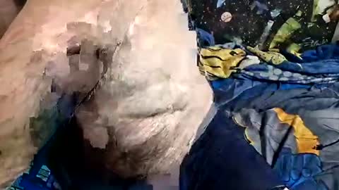 dirtmcgirt82 online show from April 18, 6:06 am