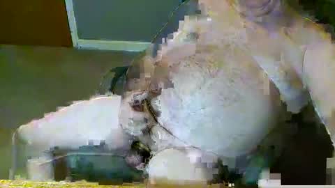 Snapshot of dirtydave52 chatting on March 28, 11:10 am dirtydave52 online show from March 28, 11:10 am