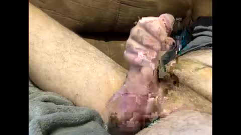 Dirtykurty5000 online show from September 12, 11:43 am