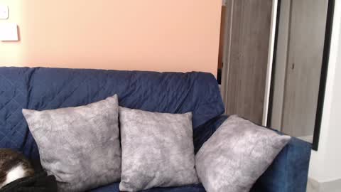 Hera online show from April 8, 12:38 pm