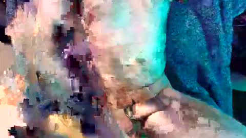 divinemindsalign online show from April 2, 12:52 am