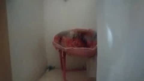 dixonbird41 online show from October 6, 10:12 am