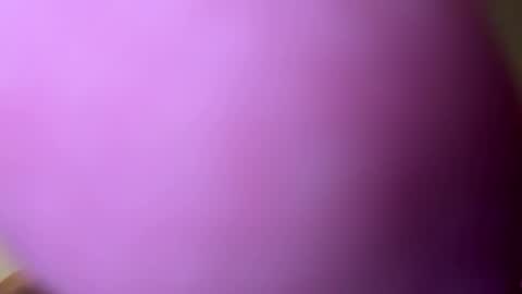 Snapshot of djacko681 chatting on January 21, 5:09 pm djacko681 online show from January 21, 5:09 pm