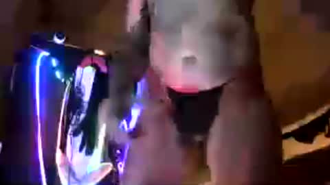 djceasar online show from July 20, 2:48 am