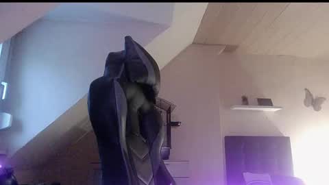 Snapshot of doggy2629 chatting on January 6, 3:38 pm doggy2629 online show from January 6, 3:38 pm