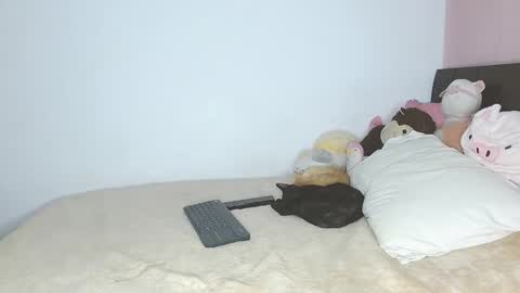 Auro and Santiago online show from January 29, 4:05 am