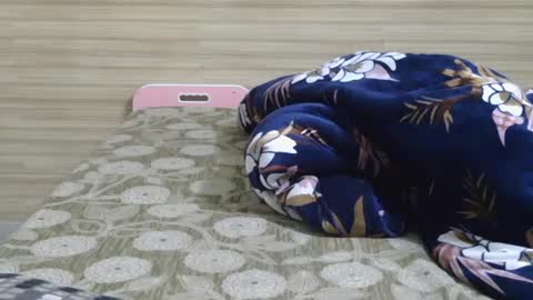 Snapshot of dolly_2 chatting on February 6, 10:04 am dolly_2 online show from February 6, 10:04 am