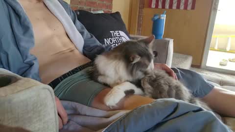 Snapshot of dommepleasemistress chatting on March 22, 5:05 pm dommepleasemistress online show from March 22, 5:05 pm