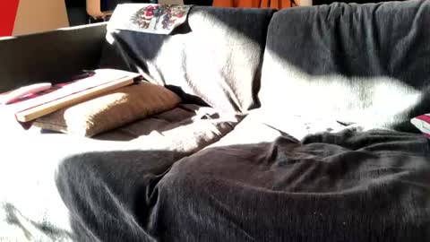 Alfredo online show from December 16, 11:44 am