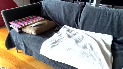 Alfredo online show from February 17, 9:46 am