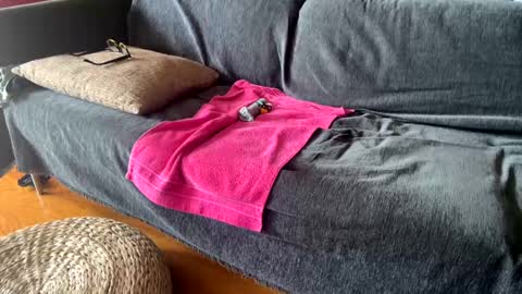 Alfredo online show from September 11, 11:10 am