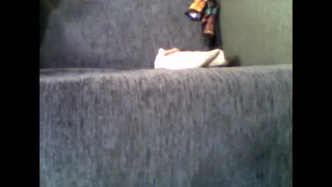 Alfredo online show from November 10, 7:51 am