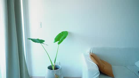 Donatella online show from March 26, 11:27 am