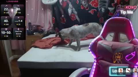 Angelic Angel Donny online show from December 21, 12:07 am