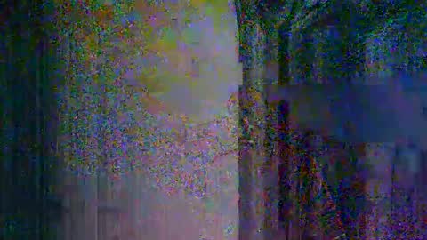 donosus online show from March 12, 3:23 am