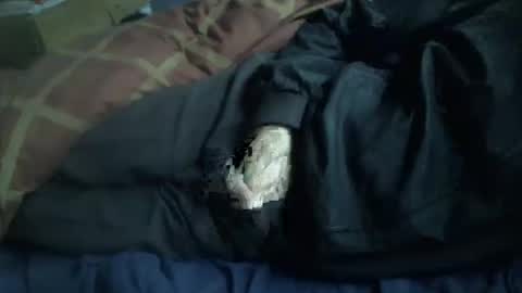 Hello  welcome to Slutsville  I am the Naked Chef  really  but you may call me Peter online show from January 12, 9:58 am