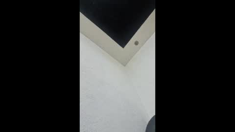 dots66289308004 online show from March 28, 12:10 am