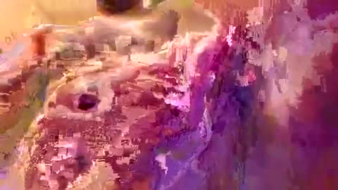 down2fuckyobitch online show from September 19, 4:14 am