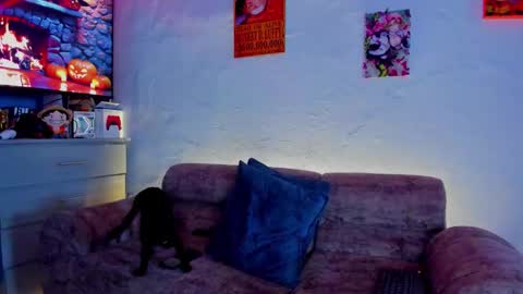 Drako online show from October 24, 12:23 pm