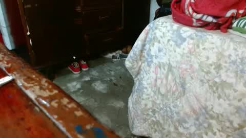 dreamreal online show from October 28, 10:52 am