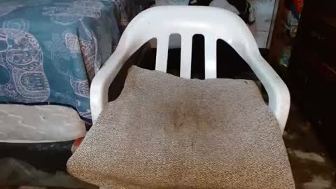 dreamreal online show from March 20, 1:21 am