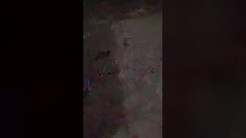 dreamerdick101 online show from December 19, 12:01 pm