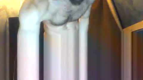 drippydickboy online show from February 5, 9:19 pm