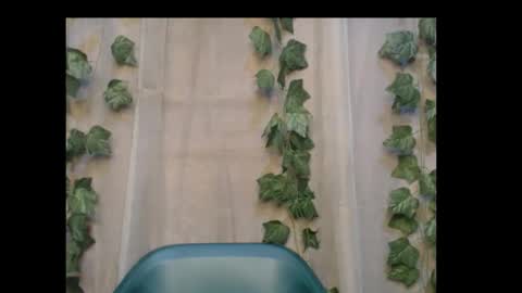 linda online show from October 31, 1:39 am