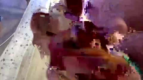 droppingloads82 online show from February 1, 7:15 am