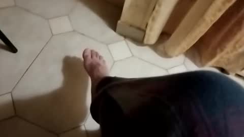 dthedog12 online show from October 28, 3:10 am