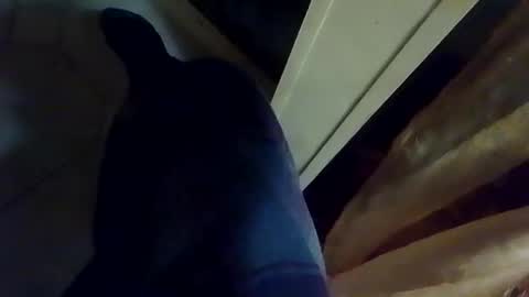 dthedog12 online show from January 9, 2:14 am