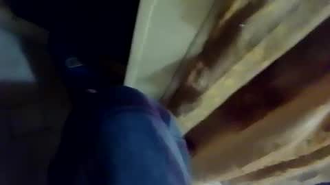 dthedog12 online show from February 4, 3:12 am