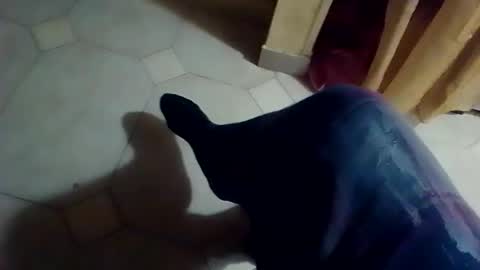 dthedog12 online show from February 8, 1:09 am