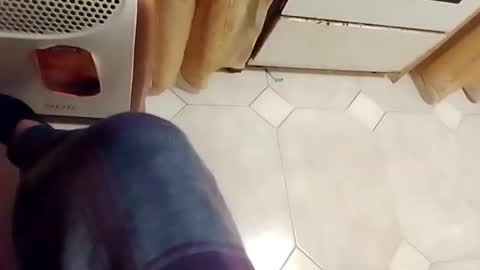 dthedog12 online show from February 15, 2:19 am