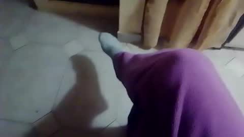 dthedog12 online show from February 19, 10:06 pm