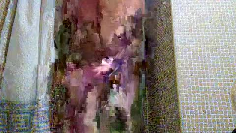 Snapshot of dublindub12 chatting on March 2, 10:03 am dublindub12 online show from March 2, 10:03 am