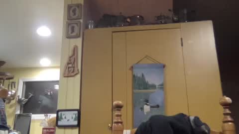 Steve online show from October 31, 10:49 am