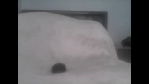 Snapshot of dudek0 chatting on November 1, 2:19 pm dudek0 online show from November 1, 2:19 pm