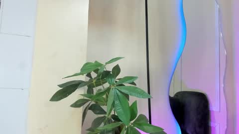 dulce__fiore07 online show from December 21, 12:23 pm