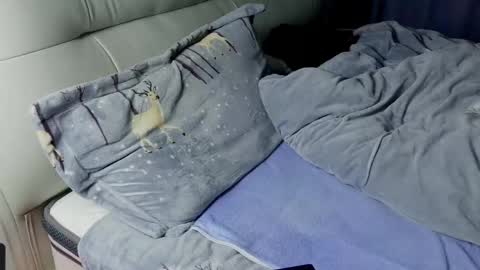 Snapshot of dumeila chatting on May 15, 10:39 pm dumeila online show from May 15, 10:39 pm