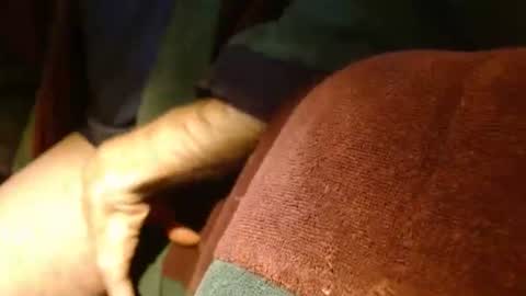 dunany101 online show from February 7, 11:34 pm