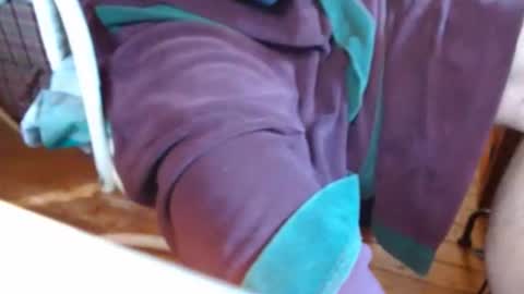 dunany101 online show from March 7, 2:34 pm