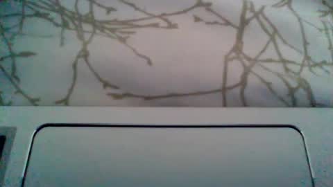 Snapshot of durocostante chatting on June 23, 10:46 am Duro per te.... Hard for U online show from June 23, 10:46 am