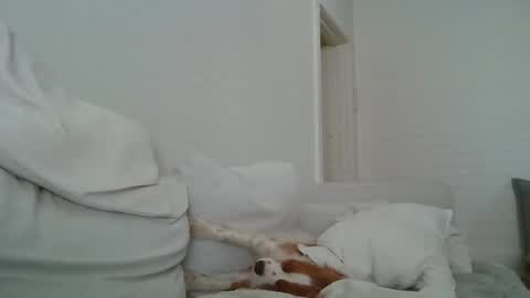 Snapshot of dustyroy09 chatting on February 14, 1:45 am dustyroy09 online show from February 14, 1:45 am